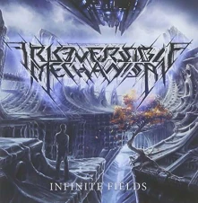 CD  IRREVERSIBLE MECHANISM - INFINITE FIELDS