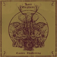 CD COSMIC AWAKENING