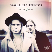 CD WALLEK BROS - INSERT/PLAY