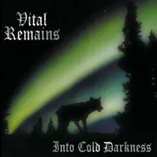 CD Into Cold Darkness