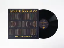 Vinyl HOLD YOUR HORSES
