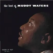 Vinyl THE BEST OF MUDDY WATERS