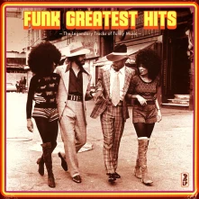 Vinyl Funk Greatest Hits