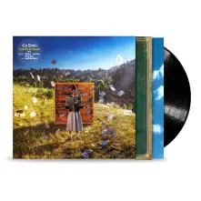 Vinyl How To Be Human