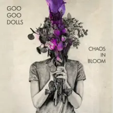 Vinyl CHAOS IN BLOOM