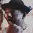 Fab 5 Freddy