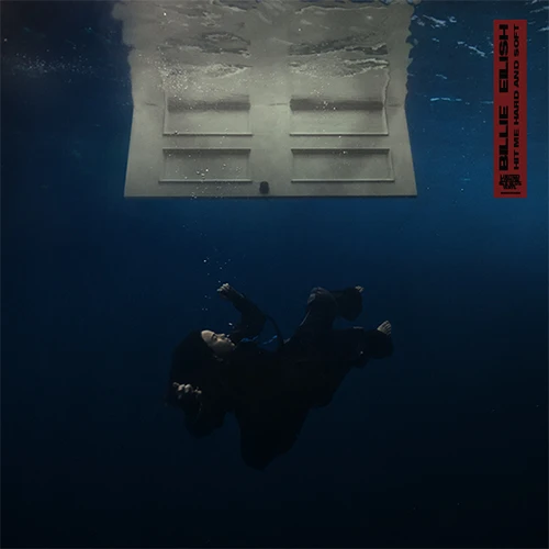 CD Hit Me Hard And Soft - Billie Eilish | RUKAHORE SHOP