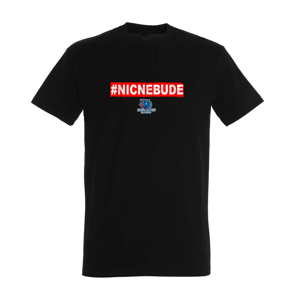 #NICNEBUDE