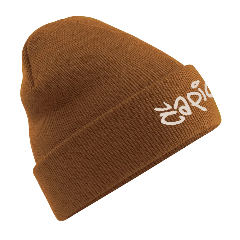 Čapica