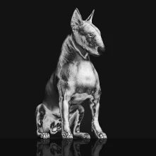 Vinyl Riskee & the Ridicule - Platinum Statue