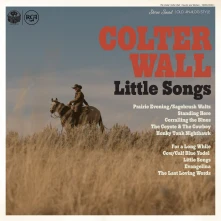 Vinyl Little Songs