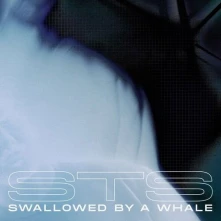 STS, Vinyl SWALLOWED BY A WHALE