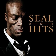 Seal, CD HITS
