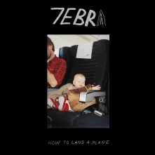 CD HOW TO LAND A PLANE