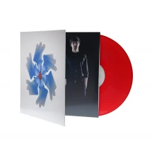 Vinyl HOLOMRAZ