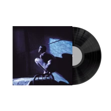 Vinyl BIRDY