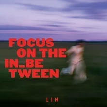 Vinyl FOCUS ON THE IN_BETWEEN