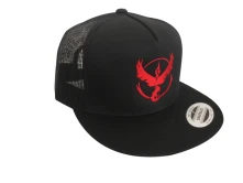 Team Logo thumbnail