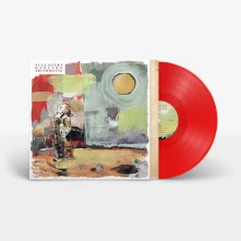 Vinyl DARLING ARITHMETIC