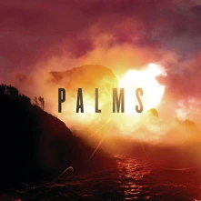Vinyl PALMS