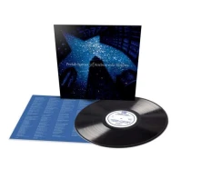 Vinyl Andromeda Heights