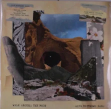Vinyl MATTHEWS, DAVE -BAND- - WALK AROUND THE MOON