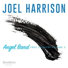CD HARRISON, JOEL - ANGEL BAND - FREE COUNTRY VOLUME 3