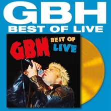 Vinyl BEST OF LIVE