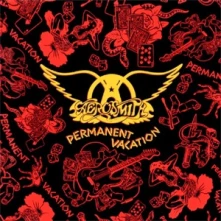 Vinyl PERMANENT VACATION