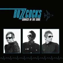 Buzzcocks, Vinyl SONICS IN THE SOUL