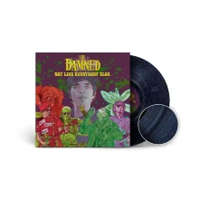 Vinyl NOT LIKE EVERYBODY ELSE