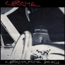 Vinyl CHROMOSOME DAMAGE:LIVE...