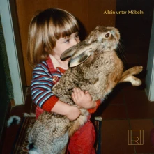 CD ALLEIN UNTEER MOBELN