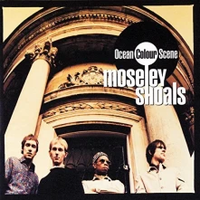 Vinyl MOSELEY SHOALS