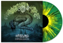 Vinyl DYING WISH - SYMPTOMS OF SURVIVAL