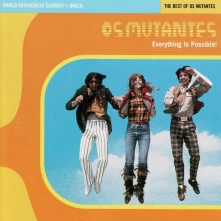 Vinyl EVERYTHING IS POSSIBLE...