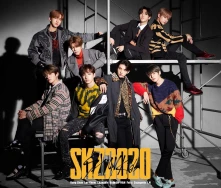 CD Skz2020