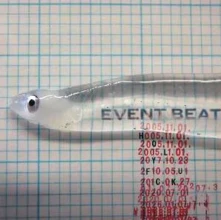 Holy Fuck, Vinyl EVENT BEAT