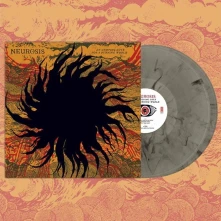 Vinyl AN UNDYING LOVE FOR A ...