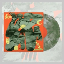 Vinyl NOTHING AGAIN