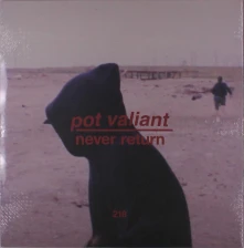 Vinyl NEVER RETURN