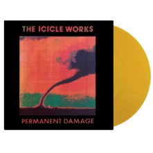 Vinyl PERMANENT DAMAGE