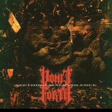 Vinyl Seething Malevolence