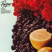 Spencer Zahn, CD PURPER