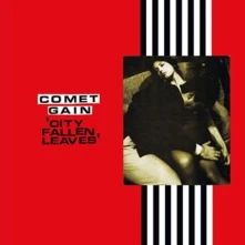 Vinyl CITY FALLEN LEAVES