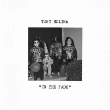 Vinyl MOLINA, TONY - IN THE FADE