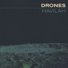 The Drones, Vinyl HAVILAH