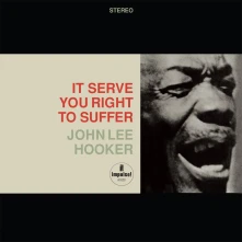John Lee Hooker, Vinyl HOOKER, JOHN LEE - IT SERVE YOU RIGHT