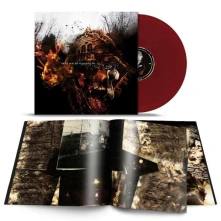 Vinyl THIS WORLD IS GOING TO RUIN YO