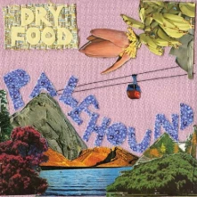 Palehound, Vinyl DRY FOOD